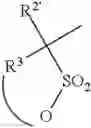 Fig. 15 - Nucleophile-reactive sulfonated compounds for the (radio)labelling of (bio)molecules; precursors and conjugates thereof