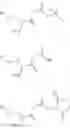 Fig. 24 - Nucleophile-reactive sulfonated compounds for the (radio)labelling of (bio)molecules; precursors and conjugates thereof