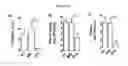 Fig. 05 - Compositions and methods for treating MRSA infections and for sensitizing MRSA to beta-lactam antibiotics