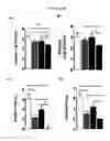 Fig. 06 - Compositions and methods for treating MRSA infections and for sensitizing MRSA to beta-lactam antibiotics