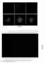 Fig. 03 - Cancer stem cell targeting peptide and use thereof