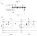 Fig. 03 - Multiplexed same type-antigenic peptide