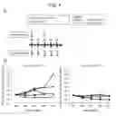 Fig. 05 - Multiplexed same type-antigenic peptide