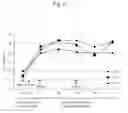 Fig. 07 - Multiplexed same type-antigenic peptide