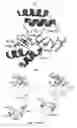 Fig. 06 - Peptides including a binding domain of the viral phosphoprotein (P) subunit to the viral RNA free nucleoprotein (N)