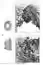 Fig. 11 - Peptides including a binding domain of the viral phosphoprotein (P) subunit to the viral RNA free nucleoprotein (N)