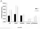 Fig. 14 - Peptides including a binding domain of the viral phosphoprotein (P) subunit to the viral RNA free nucleoprotein (N)