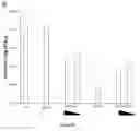 Fig. 15 - Peptides including a binding domain of the viral phosphoprotein (P) subunit to the viral RNA free nucleoprotein (N)