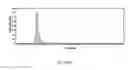 Fig. 12 - BIOTINYLATED PROTEIN