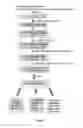 Fig. 16 - BIOTINYLATED PROTEIN