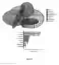 Fig. 17 - BIOTINYLATED PROTEIN