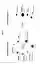 Fig. 02 - Antibody cytokine engrafted compositions and methods of use for immunoregulation