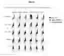 Fig. 09 - Antibody cytokine engrafted compositions and methods of use for immunoregulation