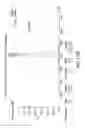 Fig. 15 - Antibody cytokine engrafted compositions and methods of use for immunoregulation