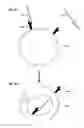Fig. 05 - Glucose-regulating polypeptides and methods of making and using same