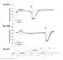 Fig. 23 - Glucose-regulating polypeptides and methods of making and using same