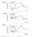 Fig. 24 - Glucose-regulating polypeptides and methods of making and using same