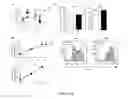 Fig. 03 - CHIMERIC ANTIGEN RECEPTORS (CAR) AND METHODS FOR MAKING AND USING THE SAME