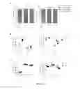 Fig. 05 - CHIMERIC ANTIGEN RECEPTORS (CAR) AND METHODS FOR MAKING AND USING THE SAME