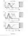 Fig. 13 - CHIMERIC ANTIGEN RECEPTORS (CAR) AND METHODS FOR MAKING AND USING THE SAME