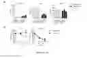 Fig. 20 - CHIMERIC ANTIGEN RECEPTORS (CAR) AND METHODS FOR MAKING AND USING THE SAME