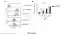 Fig. 21 - CHIMERIC ANTIGEN RECEPTORS (CAR) AND METHODS FOR MAKING AND USING THE SAME