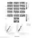 Fig. 31 - CHIMERIC ANTIGEN RECEPTORS (CAR) AND METHODS FOR MAKING AND USING THE SAME