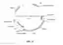 Fig. 35 - CHIMERIC ANTIGEN RECEPTORS (CAR) AND METHODS FOR MAKING AND USING THE SAME