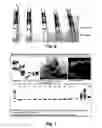 Fig. 05 - MODULATING DISEASE THROUGH GENETIC ENGINEERING OF PLANTS