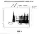 Fig. 06 - MODULATING DISEASE THROUGH GENETIC ENGINEERING OF PLANTS