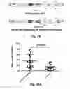 Fig. 12 - MODULATING DISEASE THROUGH GENETIC ENGINEERING OF PLANTS