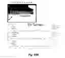 Fig. 17 - MODULATING DISEASE THROUGH GENETIC ENGINEERING OF PLANTS