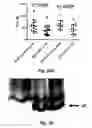 Fig. 58 - MODULATING DISEASE THROUGH GENETIC ENGINEERING OF PLANTS