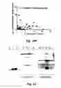 Fig. 74 - MODULATING DISEASE THROUGH GENETIC ENGINEERING OF PLANTS