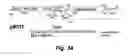 Fig. 75 - MODULATING DISEASE THROUGH GENETIC ENGINEERING OF PLANTS