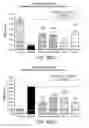 Fig. 112 - LOW ACIDIC SPECIES COMPOSITIONS AND METHODS FOR PRODUCING AND USING THE SAME