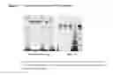 Fig. 06 - Isolation and Purification of Antibodies Using Protein A Affinity Chromatography