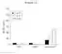 Fig. 03 - Binding inhibitor between TCTP dimer type IGE-dependent histamine releasing factor and receptor thereof, and use thereof