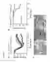Fig. 10 - Compositions and methods for targeting of the surfactant protein A receptor
