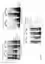 Fig. 28 - Compositions and methods for targeting of the surfactant protein A receptor