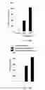 Fig. 65 - Compositions and methods for targeted immunomodulatory antibodies and fusion proteins