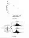 Fig. 66 - Compositions and methods for targeted immunomodulatory antibodies and fusion proteins