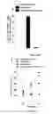 Fig. 67 - Compositions and methods for targeted immunomodulatory antibodies and fusion proteins