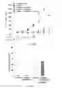 Fig. 72 - Compositions and methods for targeted immunomodulatory antibodies and fusion proteins