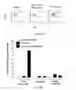 Fig. 74 - Compositions and methods for targeted immunomodulatory antibodies and fusion proteins