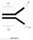 Fig. 20 - COMPOSITIONS OF ANTIBODY CONSTRUCT - AGONIST CONJUGATES AND METHODS OF USE THEREOF
