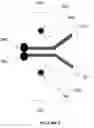 Fig. 22 - COMPOSITIONS OF ANTIBODY CONSTRUCT - AGONIST CONJUGATES AND METHODS OF USE THEREOF