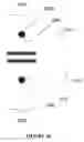 Fig. 23 - COMPOSITIONS OF ANTIBODY CONSTRUCT - AGONIST CONJUGATES AND METHODS OF USE THEREOF