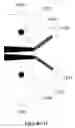 Fig. 25 - COMPOSITIONS OF ANTIBODY CONSTRUCT - AGONIST CONJUGATES AND METHODS OF USE THEREOF