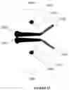 Fig. 26 - COMPOSITIONS OF ANTIBODY CONSTRUCT - AGONIST CONJUGATES AND METHODS OF USE THEREOF
